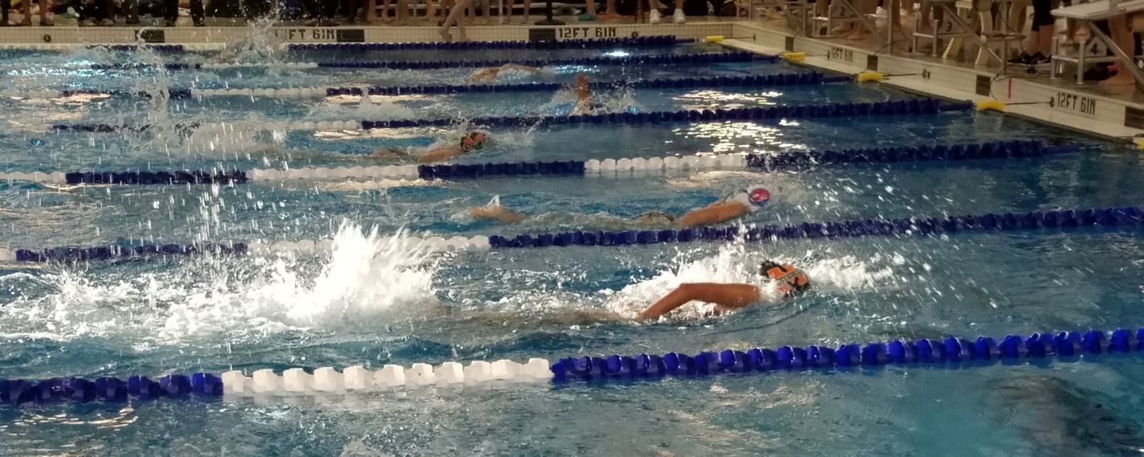 Potomac Valley Swimming