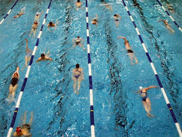 Checking out Warm-ups from the Dviing Platform